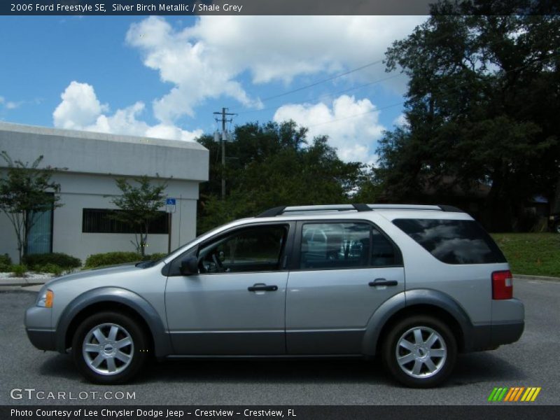 Silver Birch Metallic / Shale Grey 2006 Ford Freestyle SE