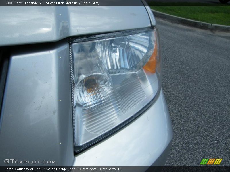 Silver Birch Metallic / Shale Grey 2006 Ford Freestyle SE