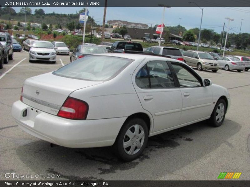 Alpine White Pearl / Blond 2001 Nissan Altima GXE