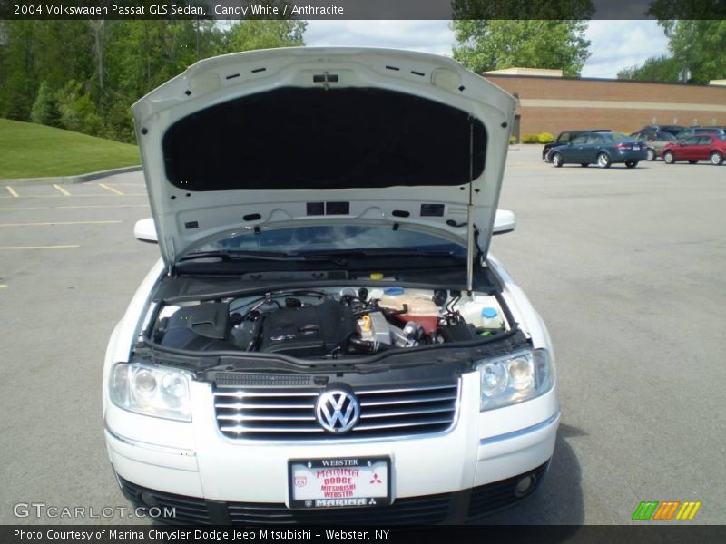 Candy White / Anthracite 2004 Volkswagen Passat GLS Sedan