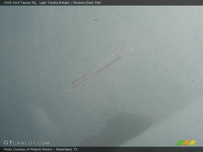 Light Tundra Metallic / Medium/Dark Flint 2005 Ford Taurus SEL