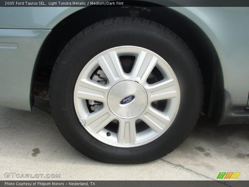 Light Tundra Metallic / Medium/Dark Flint 2005 Ford Taurus SEL