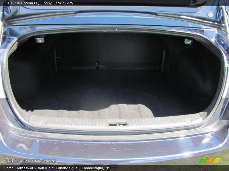 Ebony Black / Gray 2010 Kia Optima LX
