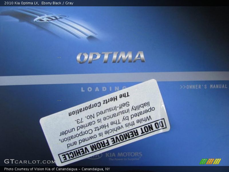 Ebony Black / Gray 2010 Kia Optima LX