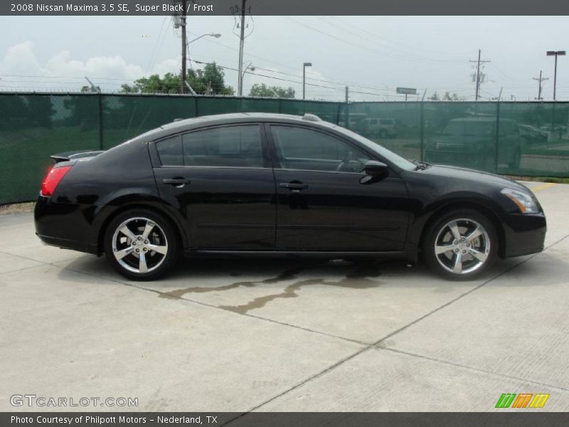 Super Black / Frost 2008 Nissan Maxima 3.5 SE