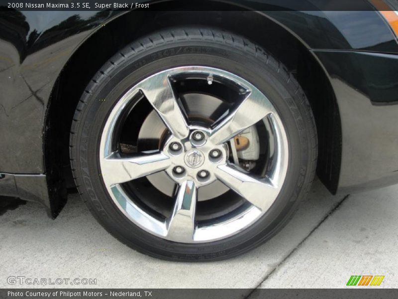 Super Black / Frost 2008 Nissan Maxima 3.5 SE