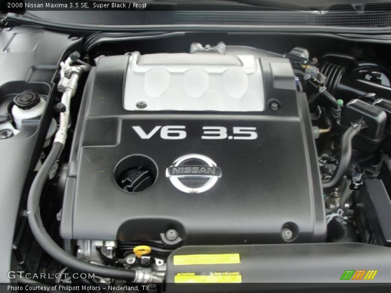 Super Black / Frost 2008 Nissan Maxima 3.5 SE