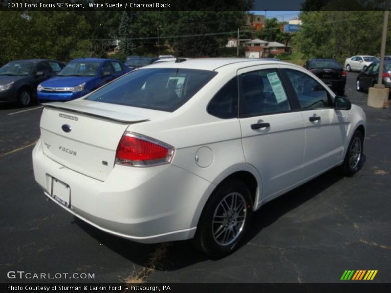White Suede / Charcoal Black 2011 Ford Focus SE Sedan