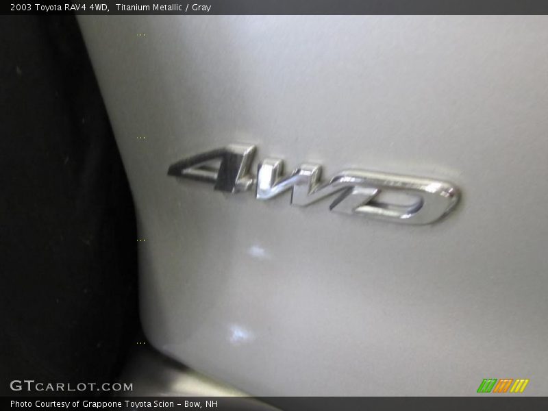 Titanium Metallic / Gray 2003 Toyota RAV4 4WD