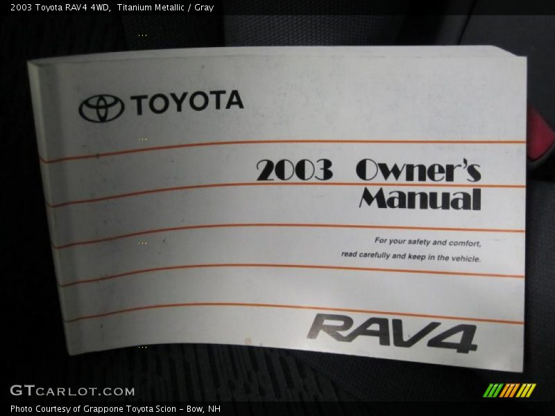 Titanium Metallic / Gray 2003 Toyota RAV4 4WD