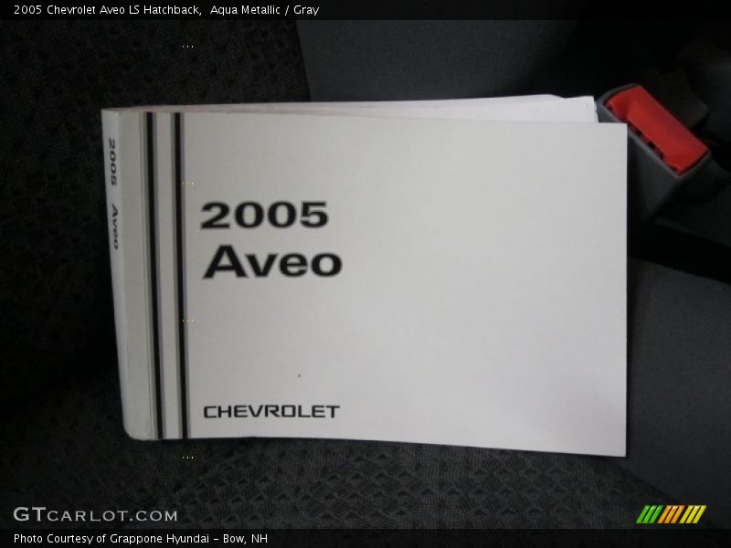 Aqua Metallic / Gray 2005 Chevrolet Aveo LS Hatchback