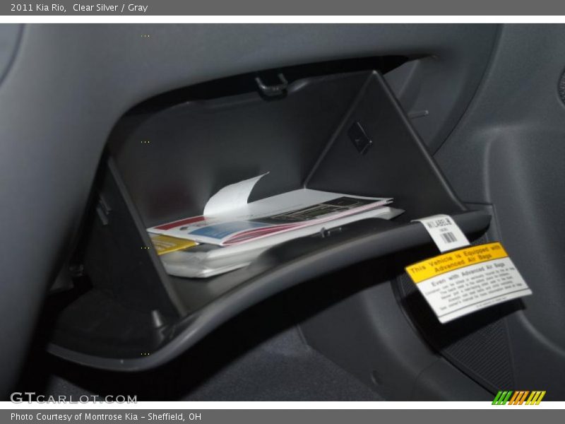 Clear Silver / Gray 2011 Kia Rio