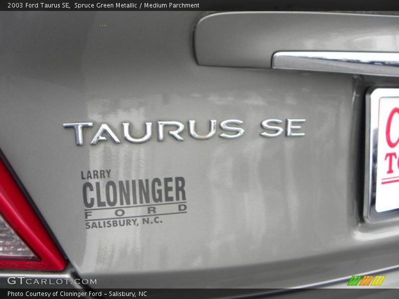 Spruce Green Metallic / Medium Parchment 2003 Ford Taurus SE