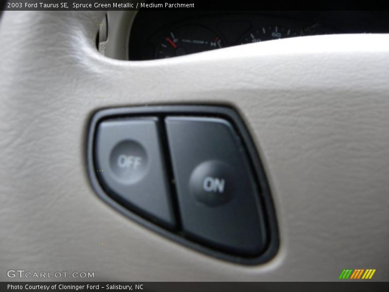 Spruce Green Metallic / Medium Parchment 2003 Ford Taurus SE