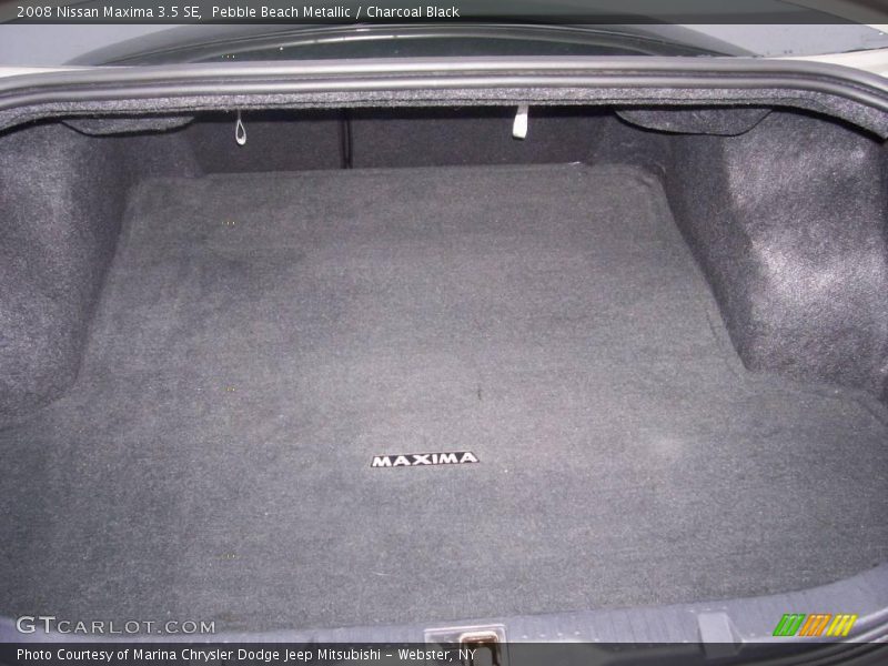 Pebble Beach Metallic / Charcoal Black 2008 Nissan Maxima 3.5 SE