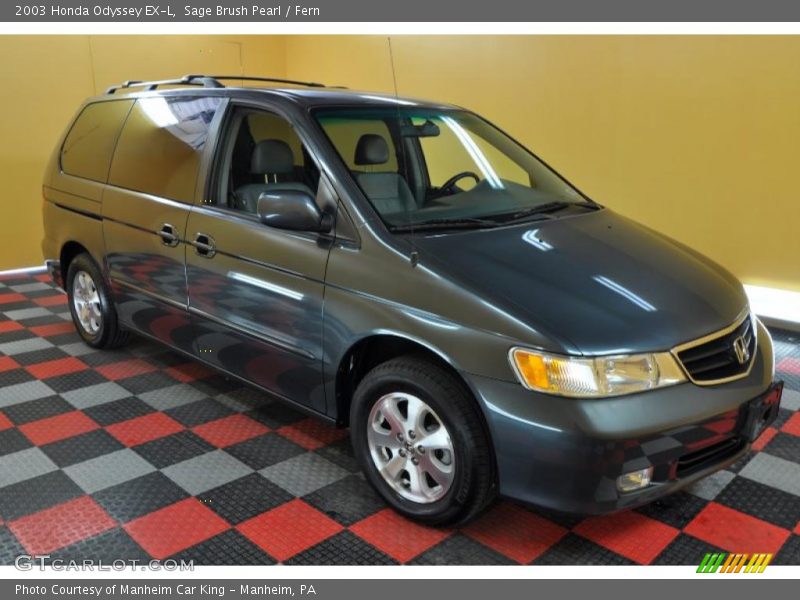 Sage Brush Pearl / Fern 2003 Honda Odyssey EX-L
