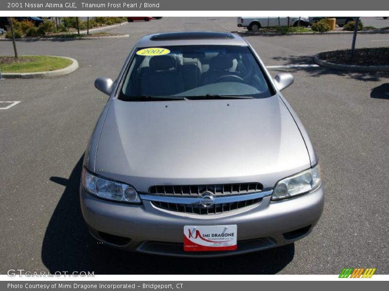 Titanium Frost Pearl / Blond 2001 Nissan Altima GLE