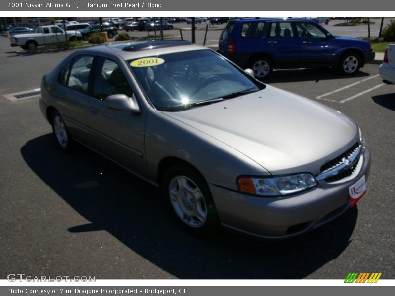 Titanium Frost Pearl / Blond 2001 Nissan Altima GLE