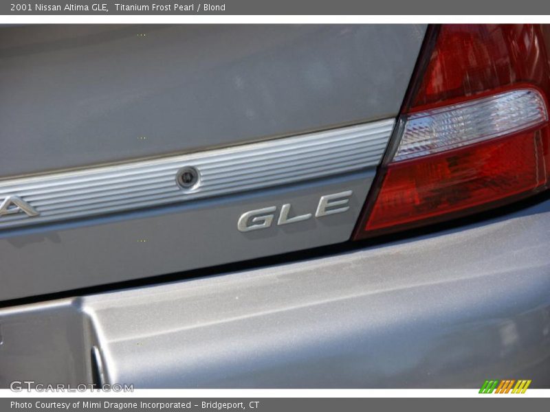 Titanium Frost Pearl / Blond 2001 Nissan Altima GLE
