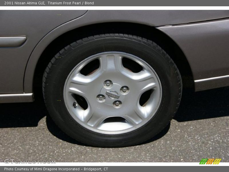 Titanium Frost Pearl / Blond 2001 Nissan Altima GLE