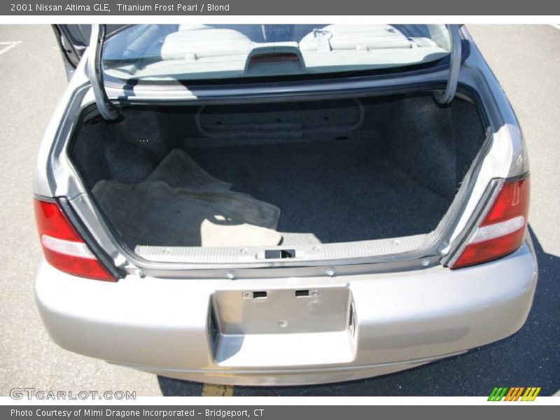 Titanium Frost Pearl / Blond 2001 Nissan Altima GLE