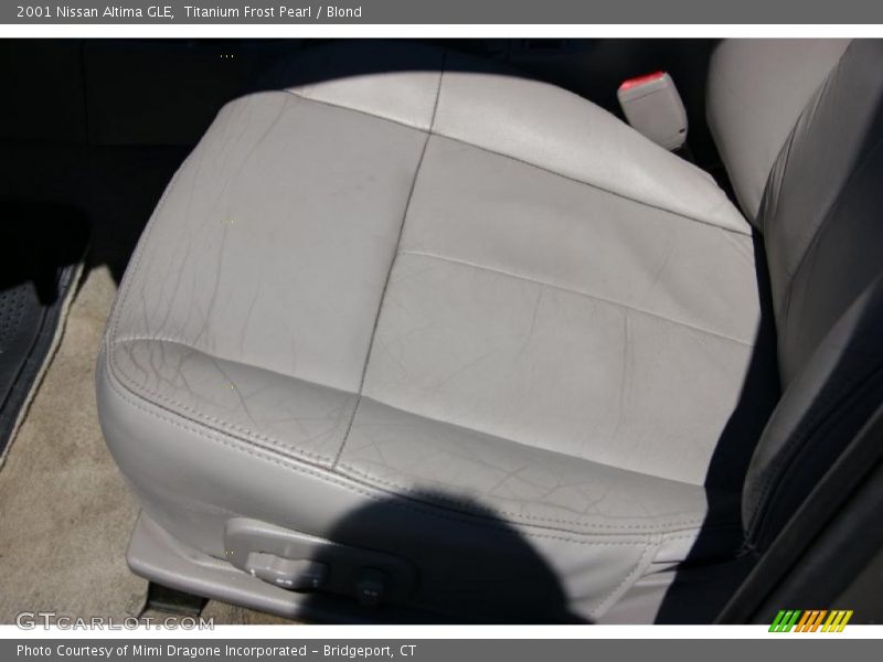 Titanium Frost Pearl / Blond 2001 Nissan Altima GLE