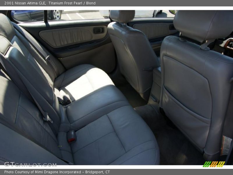 Titanium Frost Pearl / Blond 2001 Nissan Altima GLE