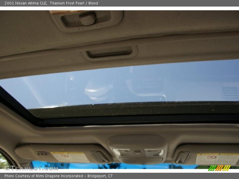 Titanium Frost Pearl / Blond 2001 Nissan Altima GLE