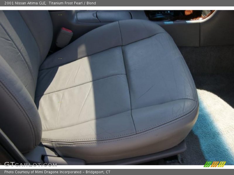 Titanium Frost Pearl / Blond 2001 Nissan Altima GLE