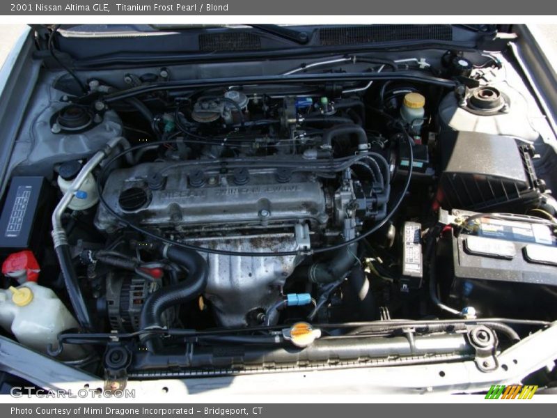 Titanium Frost Pearl / Blond 2001 Nissan Altima GLE