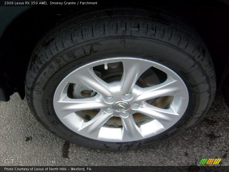 Smokey Granite / Parchment 2009 Lexus RX 350 AWD