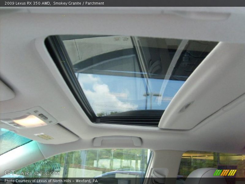 Smokey Granite / Parchment 2009 Lexus RX 350 AWD