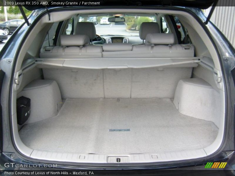 Smokey Granite / Parchment 2009 Lexus RX 350 AWD