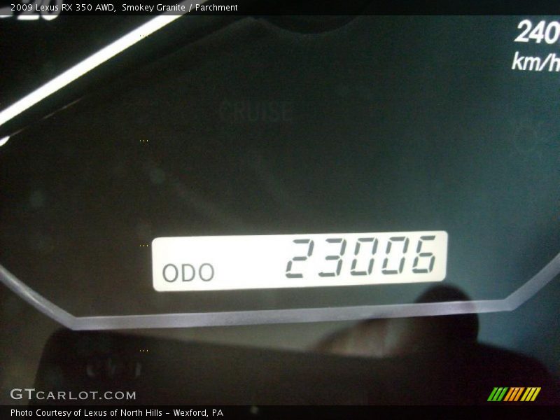 Smokey Granite / Parchment 2009 Lexus RX 350 AWD