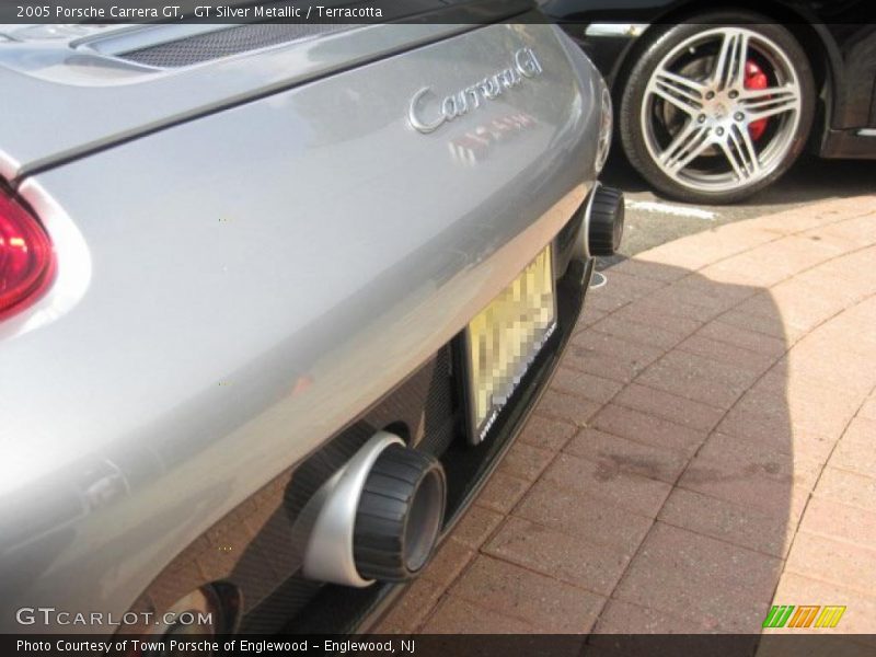 GT Silver Metallic / Terracotta 2005 Porsche Carrera GT