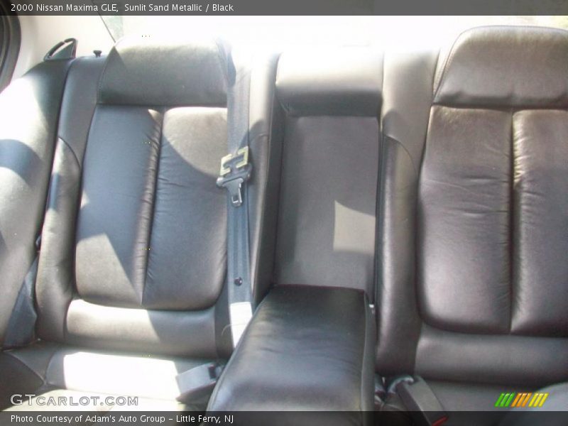 Sunlit Sand Metallic / Black 2000 Nissan Maxima GLE