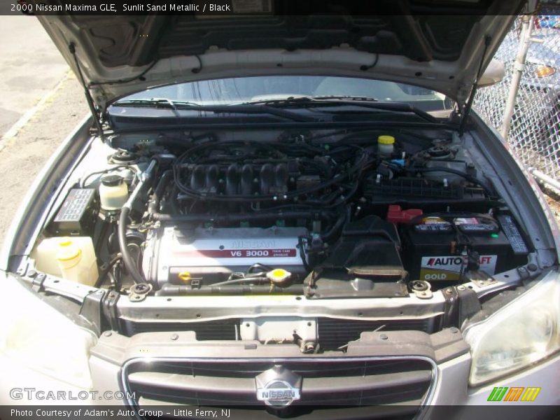 Sunlit Sand Metallic / Black 2000 Nissan Maxima GLE