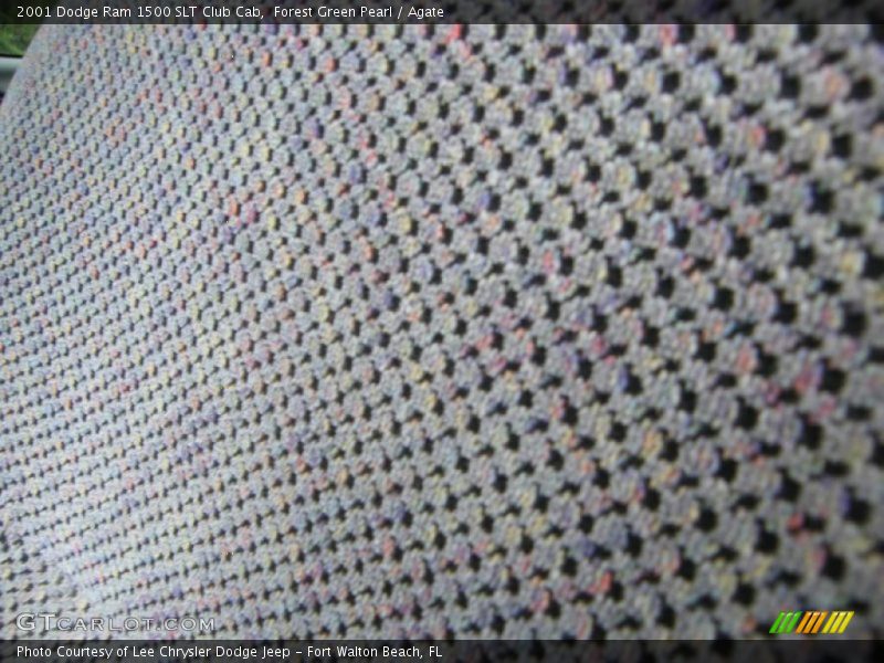Forest Green Pearl / Agate 2001 Dodge Ram 1500 SLT Club Cab