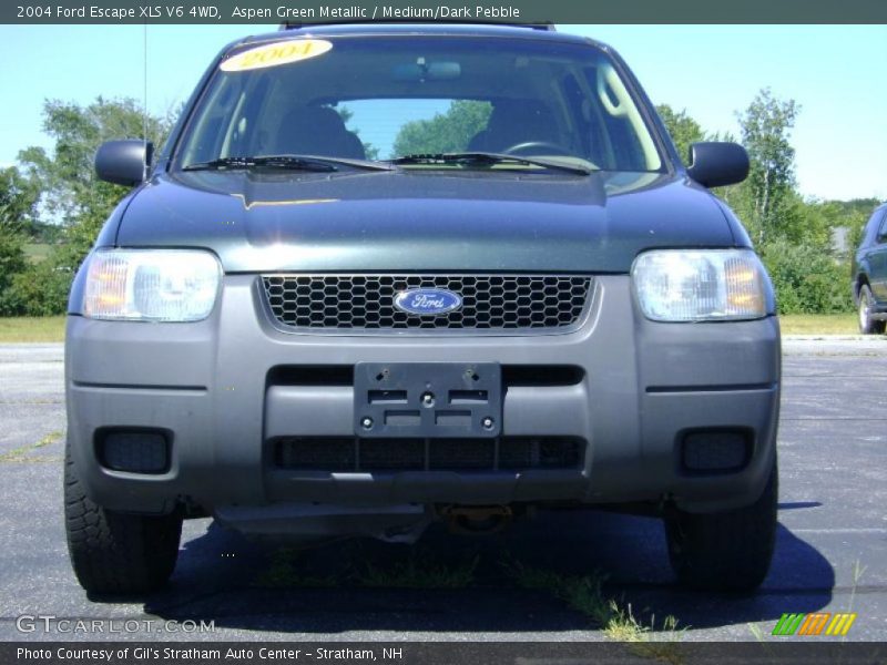 Aspen Green Metallic / Medium/Dark Pebble 2004 Ford Escape XLS V6 4WD