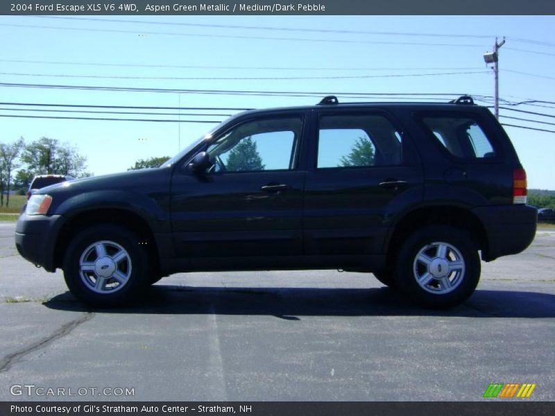Aspen Green Metallic / Medium/Dark Pebble 2004 Ford Escape XLS V6 4WD