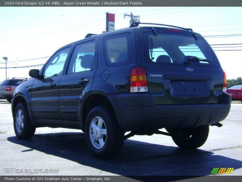 Aspen Green Metallic / Medium/Dark Pebble 2004 Ford Escape XLS V6 4WD