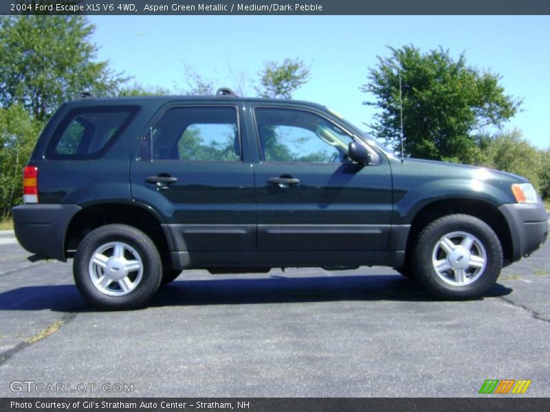 Aspen Green Metallic / Medium/Dark Pebble 2004 Ford Escape XLS V6 4WD