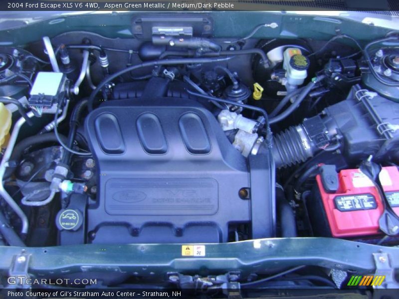 Aspen Green Metallic / Medium/Dark Pebble 2004 Ford Escape XLS V6 4WD