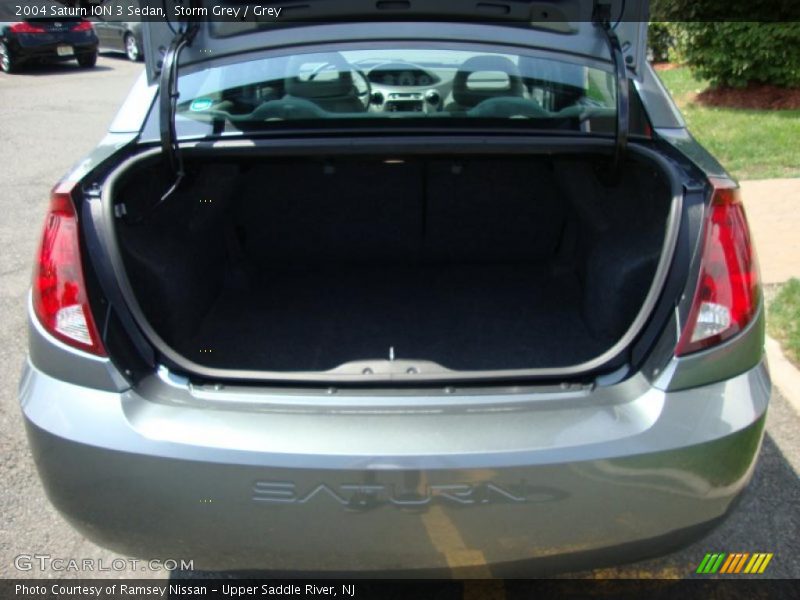 Storm Grey / Grey 2004 Saturn ION 3 Sedan