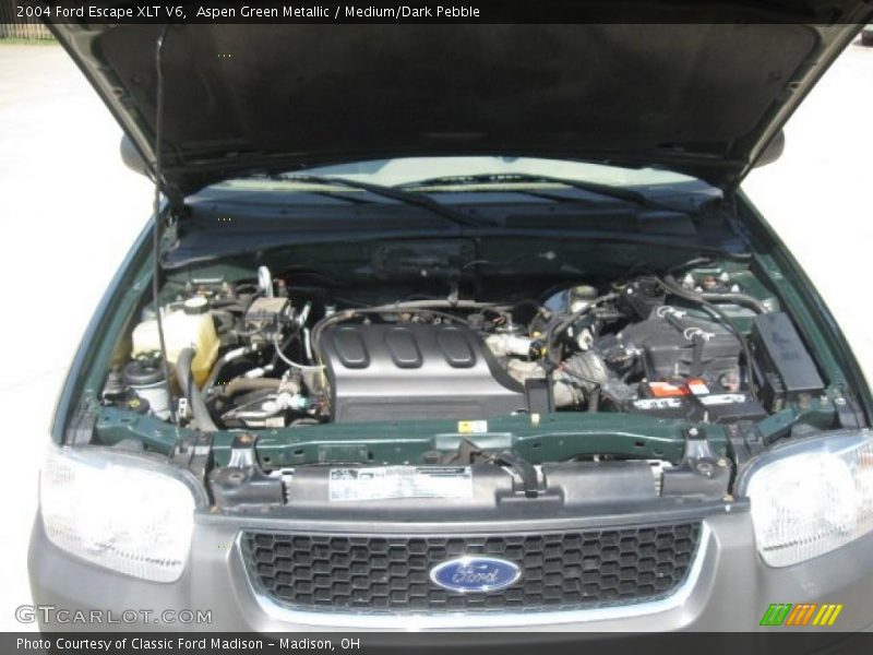 Aspen Green Metallic / Medium/Dark Pebble 2004 Ford Escape XLT V6