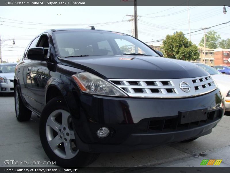 Super Black / Charcoal 2004 Nissan Murano SL