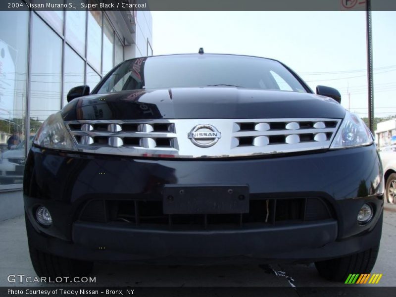 Super Black / Charcoal 2004 Nissan Murano SL