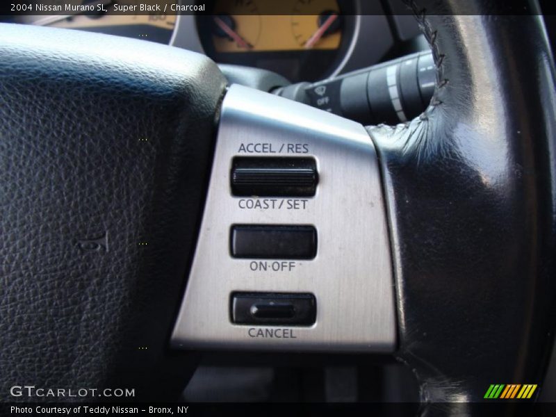 Super Black / Charcoal 2004 Nissan Murano SL