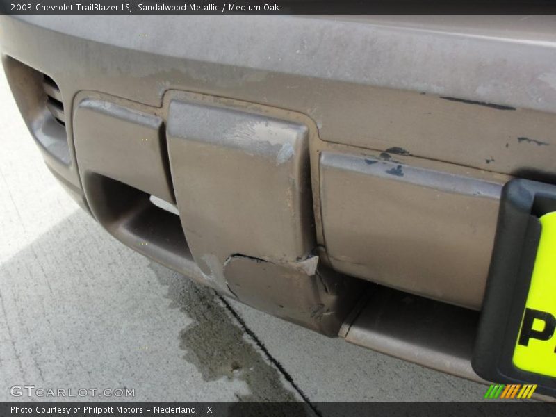 Sandalwood Metallic / Medium Oak 2003 Chevrolet TrailBlazer LS