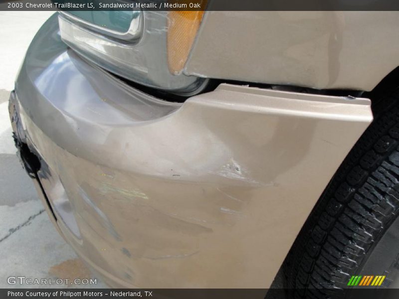 Sandalwood Metallic / Medium Oak 2003 Chevrolet TrailBlazer LS
